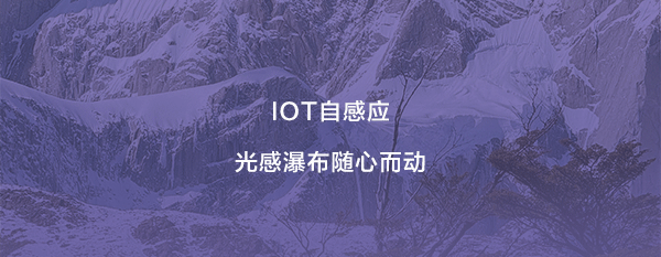 ���˹��ʹ���-׷�󿵽�,����һ������